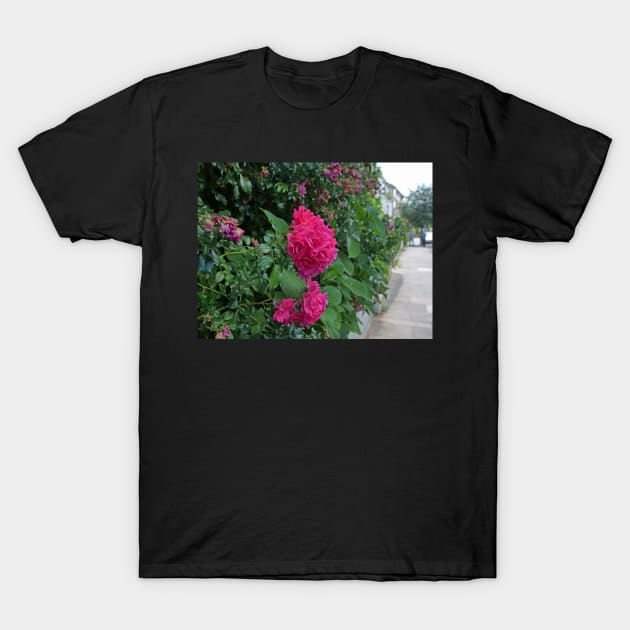 Red flower greeting card for loved one T-Shirt by fantastic-designs